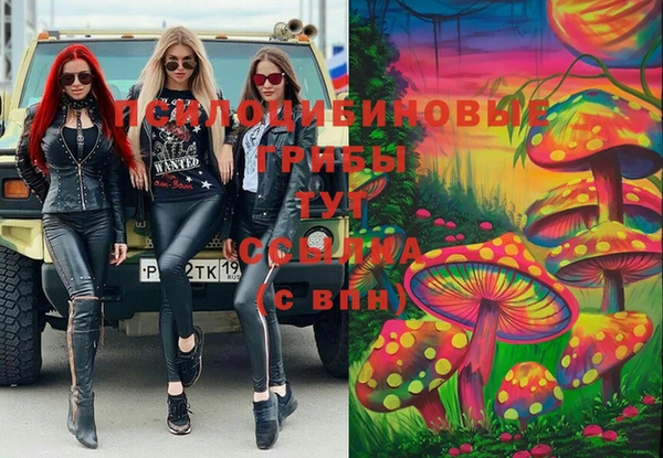 МДПВ Белокуриха
